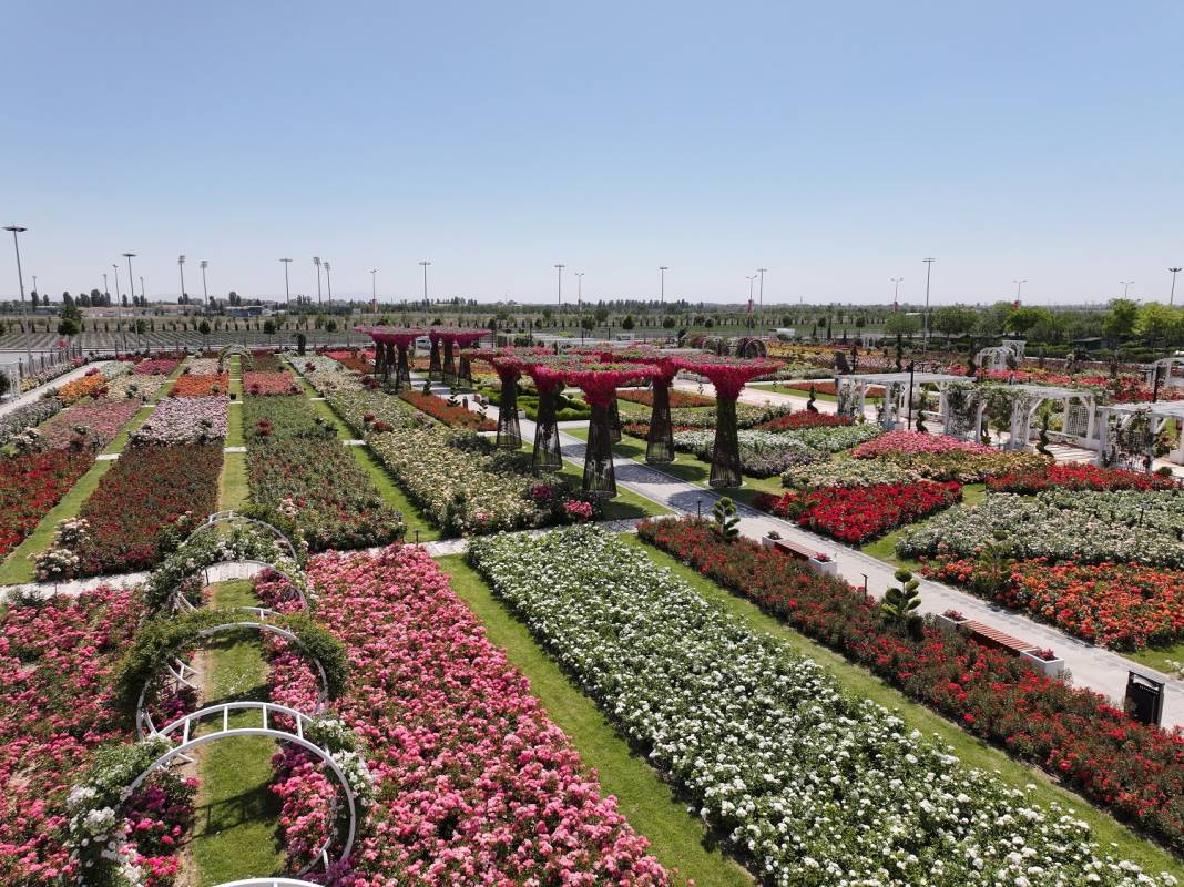 Doğanın en güzel tonları Karatay’da! Her detayıyla hayran bırakıyor 22